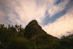 pěšky z nejvyššího vrcholu Madeiry (Pico Ruivo) na západ ostrova do Porto Moniz