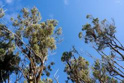 pěšky z nejvyššího vrcholu Madeiry (Pico Ruivo) na západ ostrova do Porto Moniz