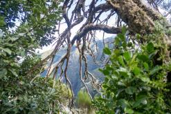 pěšky z nejvyššího vrcholu Madeiry (Pico Ruivo) na západ ostrova do Porto Moniz