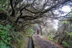 pěšky z nejvyššího vrcholu Madeiry (Pico Ruivo) na západ ostrova do Porto Moniz