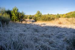 pěšky z nejvyššího vrcholu Madeiry (Pico Ruivo) na západ ostrova do Porto Moniz