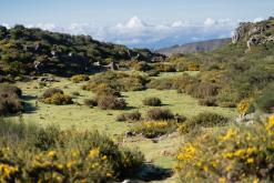 pěšky z nejvyššího vrcholu Madeiry (Pico Ruivo) na západ ostrova do Porto Moniz