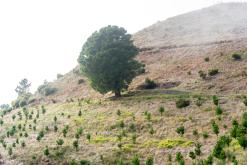 pěšky z nejvyššího vrcholu Madeiry (Pico Ruivo) na západ ostrova do Porto Moniz