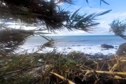 pěšky z nejvyššího vrcholu Madeiry (Pico Ruivo) na západ ostrova do Porto Moniz