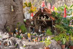 pěšky z nejvyššího vrcholu Madeiry (Pico Ruivo) na západ ostrova do Porto Moniz