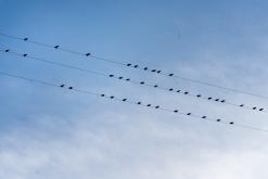 pěšky z nejvyššího vrcholu Madeiry (Pico Ruivo) na západ ostrova do Porto Moniz