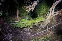 pěšky z nejvyššího vrcholu Madeiry (Pico Ruivo) na západ ostrova do Porto Moniz