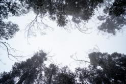 pěšky z nejvyššího vrcholu Madeiry (Pico Ruivo) na západ ostrova do Porto Moniz