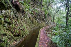 pěšky z nejvyššího vrcholu Madeiry (Pico Ruivo) na západ ostrova do Porto Moniz
