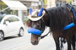 Palermo - Prodloužený víkend po Sicílii (květen 2022)