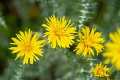 Zingaro - Prodloužený víkend po Sicílii (květen 2022)