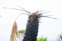 Zingaro - Prodloužený víkend po Sicílii (květen 2022)