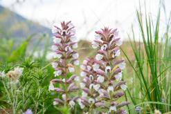 Zingaro - Prodloužený víkend po Sicílii (květen 2022)