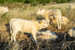 Trapani - Prodloužený víkend po Sicílii (květen 2022)