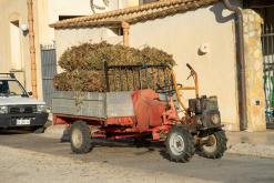 Trapani - Prodloužený víkend po Sicílii (květen 2022)