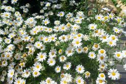 Trapani - Prodloužený víkend po Sicílii (květen 2022)