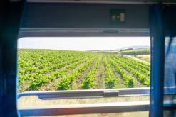 Trapani - Prodloužený víkend po Sicílii (květen 2022)