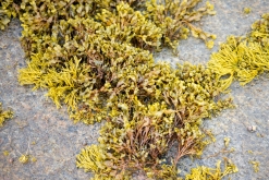 Evenes (Narvik) - Norsko