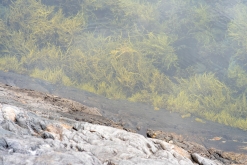 Evenes (Narvik) - Norsko