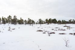 Evenes (Narvik) - Norsko