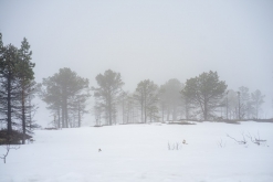 Evenes (Narvik) - Norsko