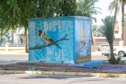 Akaba - Týden po Jordánsku (leden 2023)