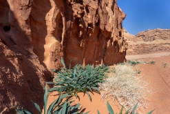 Vádí Rum - Týden po Jordánsku (leden 2023)