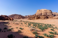 Vádí Rum - Týden po Jordánsku (leden 2023)