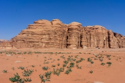 Vádí Rum - Týden po Jordánsku (leden 2023)