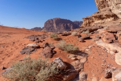 Vádí Rum - Týden po Jordánsku (leden 2023)