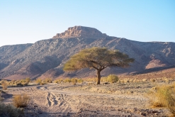 Vádí Rum - Týden po Jordánsku (leden 2023)