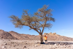 Vádí Rum - Týden po Jordánsku (leden 2023)