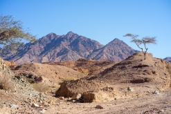 Vádí Rum - Týden po Jordánsku (leden 2023)