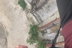 Ammán - Týden po Jordánsku (leden 2023)