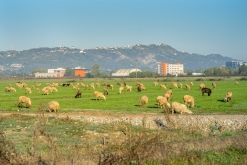 Tirana - říjen 2022