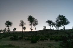 Jalan Bani Bu Hassan, Wahibská poušt - Týden po Ománu (říjen 2022)