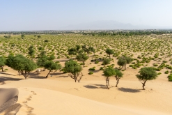 Jalan Bani Bu Hassan, Wahibská poušt - Týden po Ománu (říjen 2022)