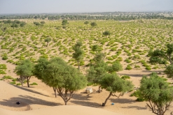 Jalan Bani Bu Hassan, Wahibská poušt - Týden po Ománu (říjen 2022)