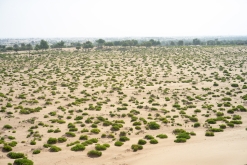 Jalan Bani Bu Hassan, Wahibská poušt - Týden po Ománu (říjen 2022)