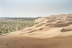 Jalan Bani Bu Hassan, Wahibská poušt - Týden po Ománu (říjen 2022)