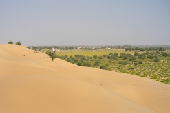 Jalan Bani Bu Hassan, Wahibská poušt - Týden po Ománu (říjen 2022)