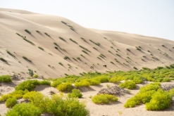 Jalan Bani Bu Hassan, Wahibská poušt - Týden po Ománu (říjen 2022)