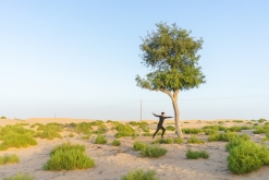 Jalan Bani Bu Hassan, Wahibská poušt - Týden po Ománu (říjen 2022)