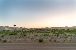 Jalan Bani Bu Hassan, Wahibská poušt - Týden po Ománu (říjen 2022)