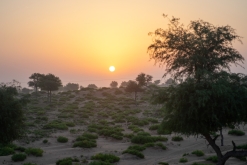 Jalan Bani Bu Hassan, Wahibská poušt - Týden po Ománu (říjen 2022)