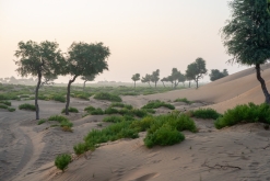 Jalan Bani Bu Hassan, Wahibská poušt - Týden po Ománu (říjen 2022)