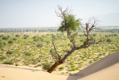 Jalan Bani Bu Hassan, Wahibská poušt - Týden po Ománu (říjen 2022)