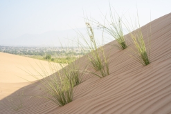 Jalan Bani Bu Hassan, Wahibská poušt - Týden po Ománu (říjen 2022)