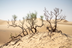 Jalan Bani Bu Hassan, Wahibská poušt - Týden po Ománu (říjen 2022)