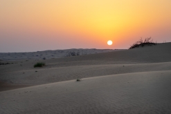 Jalan Bani Bu Hassan, Wahibská poušt - Týden po Ománu (říjen 2022)